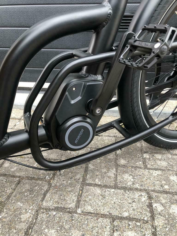 Popal Cangoo Buckle ( Beste keus Bakfietsen)