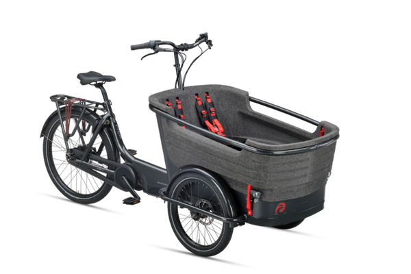 Batavus Fier 3