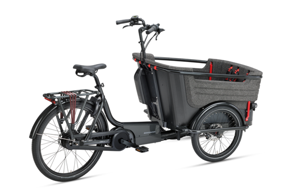 Batavus Fier 3