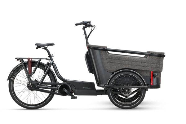 Batavus Fier 3